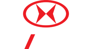Logo Shineray cuadrado blanco