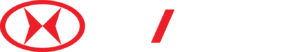 Logo Shineray horizontal blanco